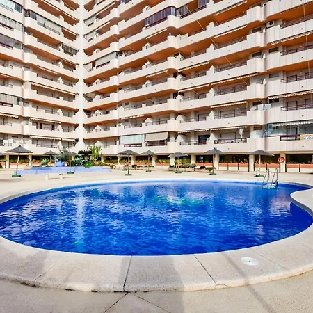 Guzman - Zafiro * Κάλπε