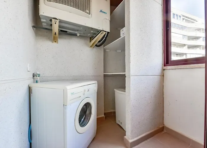 Guzman - Zafiro קלפה